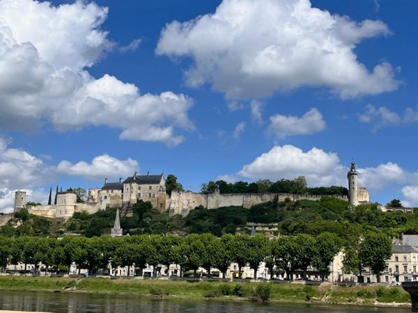 Maison à vendre 7 pièces CHINON Centre (37)