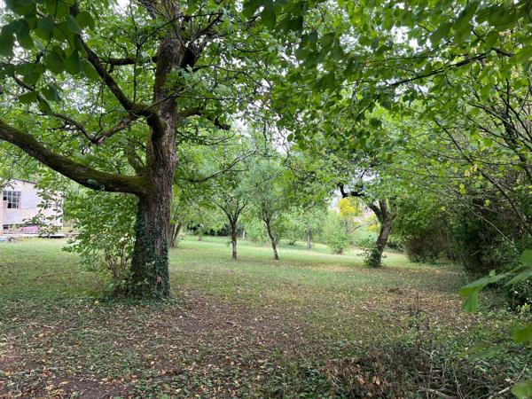 Beau terrain avec vue imprenable