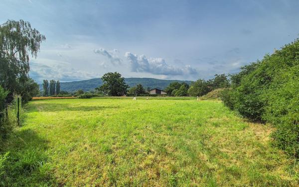 Terrain à vendre    Sciez