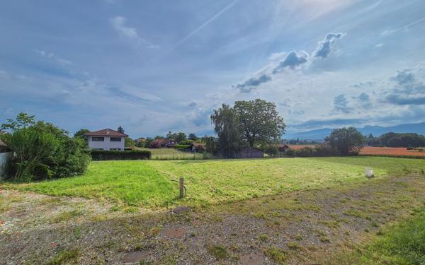 Terrain à vendre    Sciez