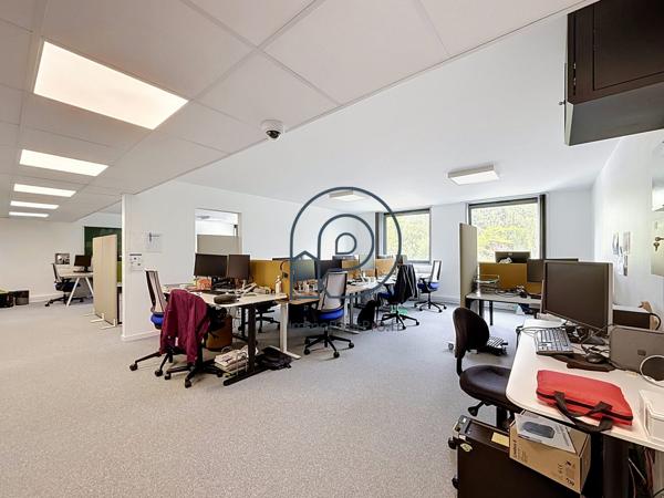 Villeneuve-d'Ascq – Parc des Moulins | Bureaux 144 m² rénovés | À vendre