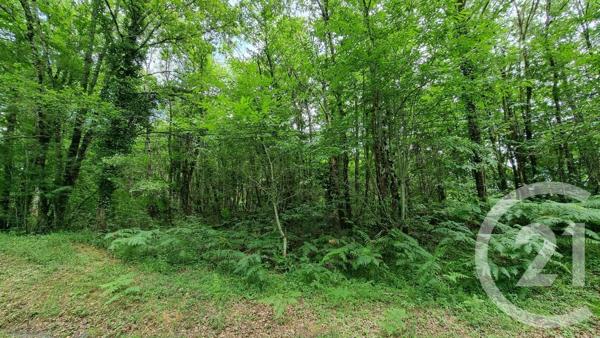 Terrain à vendre  1517 m 2   SARLAT LA CANEDA  - 24