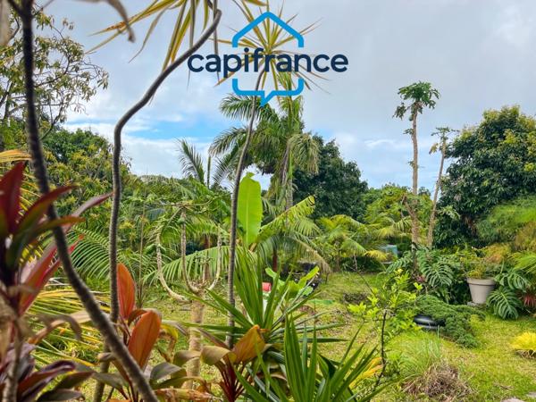 Fonds de commerce à vendre SAINTE ROSE (974)