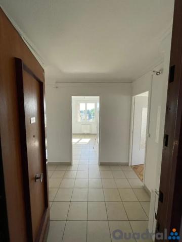 Appartement à louer à Villeurbanne (69100)