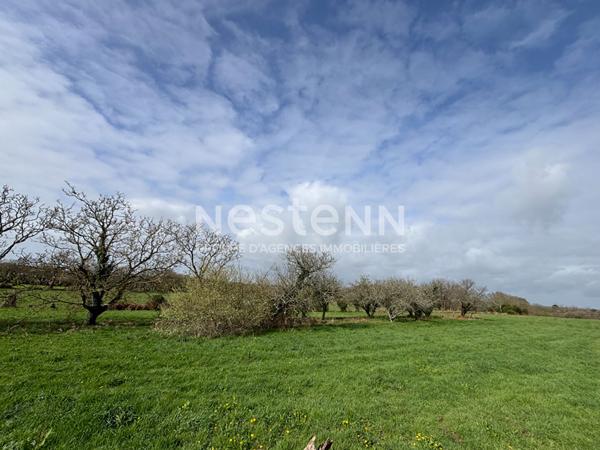 Maison 130 m² PLESCOP 3 hectares de terrain environ