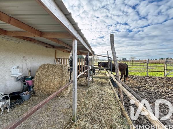 Maison à vendre 7 pièces 151 m² Cellettes