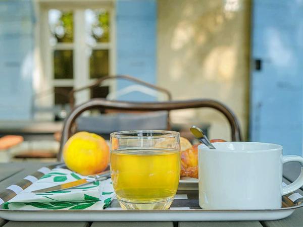 L'Isle-sur-la-Sorgue (84800) Mas de charme entre Luberon et Monts de vaucluse