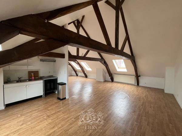 ZYF - Vieux Lille - Appartement type 3BIS