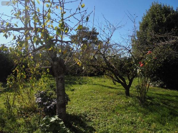 Maison à vendre à Beaugency dans le Loiret (45190), ref : 091/1470