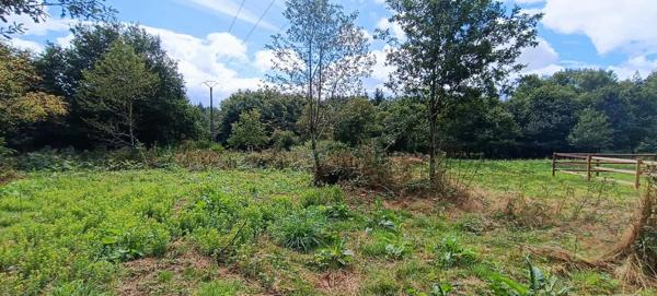 Immobilier Pontivy (56300) – Maison 194m2 – 449 990 €