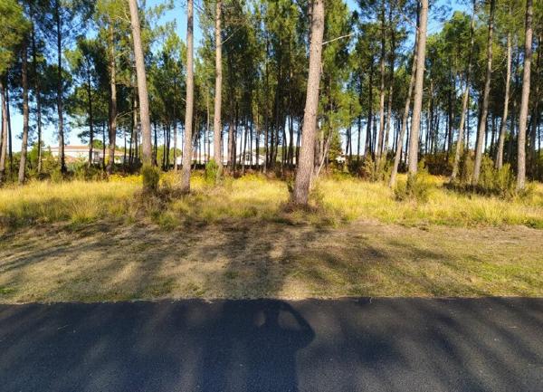 Terrain à vendre    4 013 m2 Biscarrosse