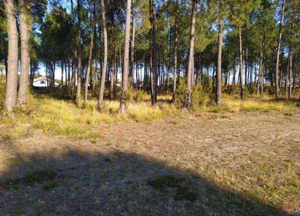 Terrain à vendre    4 013 m2 Biscarrosse