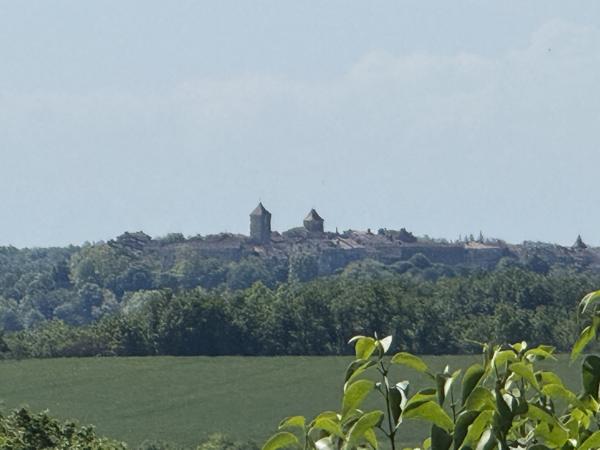 Lauzerte (82110) Lauzerte Deux maisons en pierre avec grange et jardins