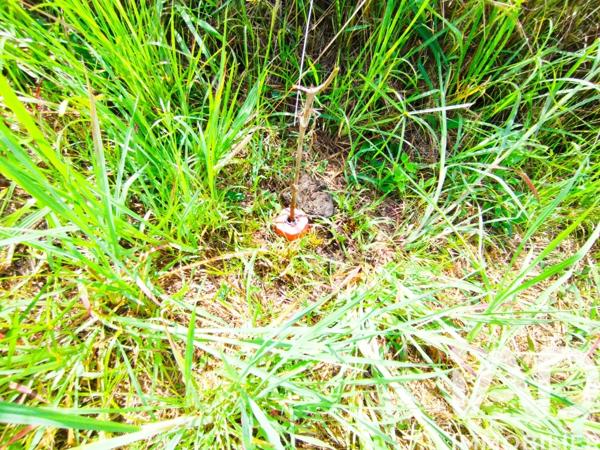 Terrain à vendre 342 m² Saint-Joseph