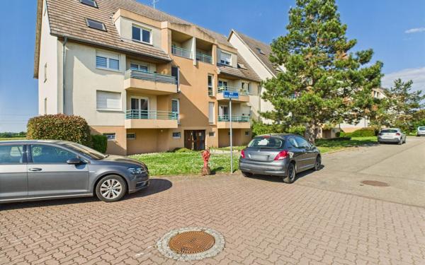 Appartement à louer    5 pièces • 115 m2 Holtzheim