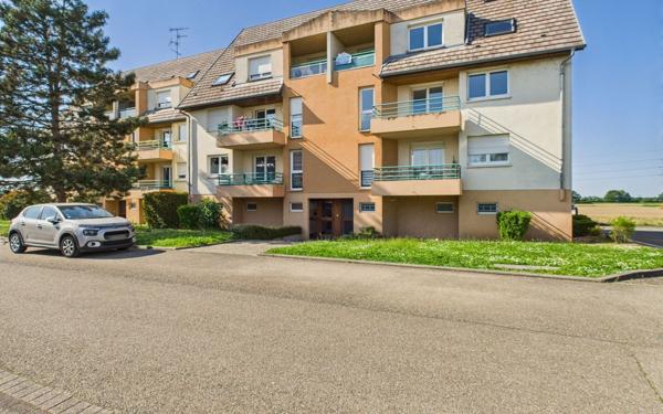 Appartement à louer    5 pièces • 115 m2 Holtzheim