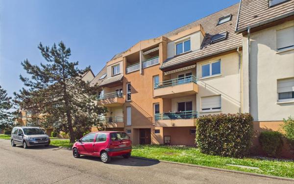 Appartement à louer    5 pièces • 115 m2 Holtzheim