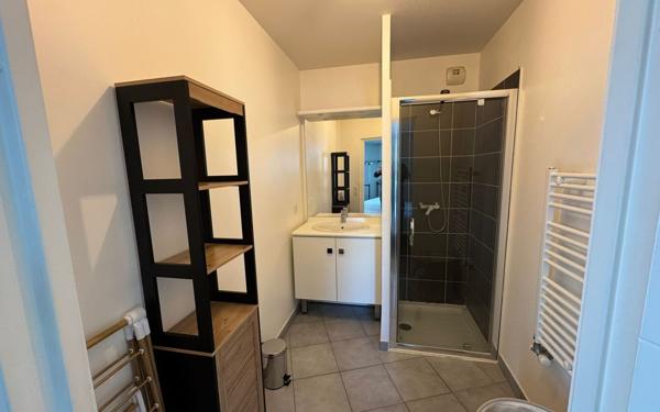 Appartement à louer    2 pièces • 45 m2 Lyon 7