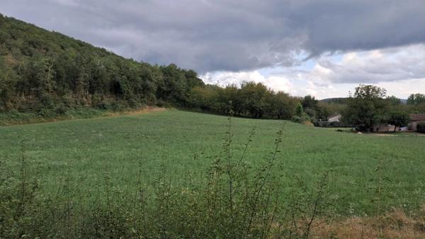 Ensemble de deux maisons à vendre 7 pièces proche Martel (46)