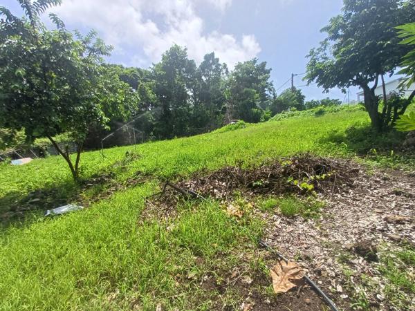 Terrain à vendre de 1 000,00 m² proche de Baillif (971)
