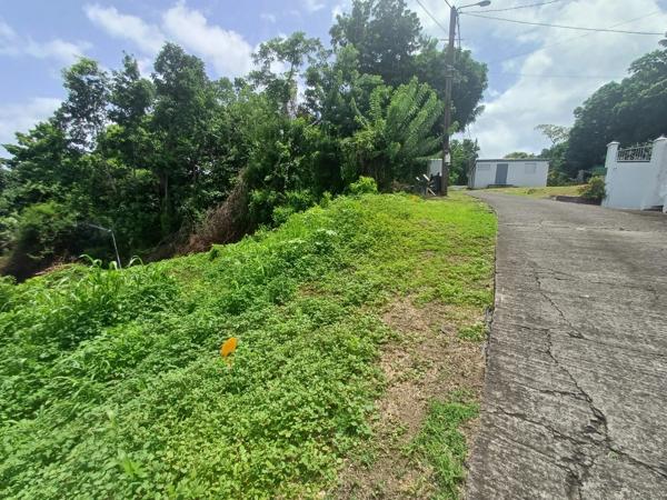 Terrain à vendre de 1 000,00 m² proche de Baillif (971)