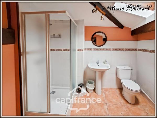 Propriété de charme 250m² habitable, avec piscine, 3 hectares de terrain et potentiel d'activité touristique