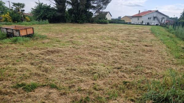 Terrain Riscle 2093 m2