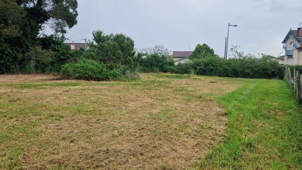 Terrain Riscle 2093 m2