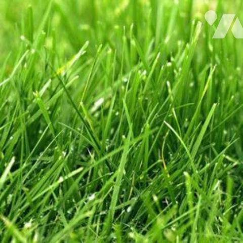 Vente terrains à bâtir centre de PLURIEN