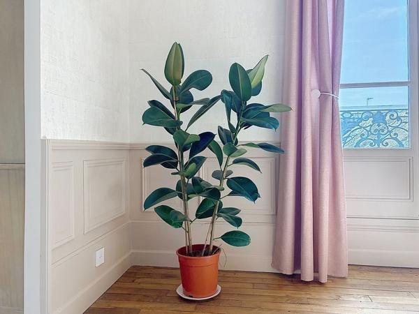 175 m², garage et stationnement – Une vie urbaine tout en douceur