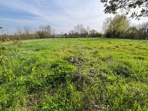 EN VENTE - GARCHIZY - 2 h 30 PARIS - Fermette avec 3 CHAMBRES - 160 m² habitables