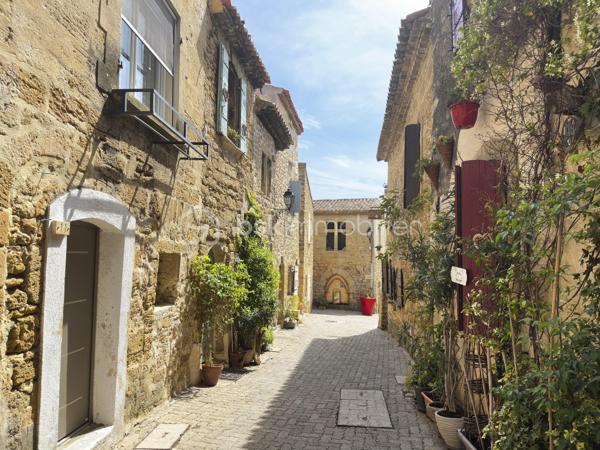 Au cœur du très recherché village de Miramas-le-Vieux, découvrez cette charmante maison de village, offrant 73 m² habitables et environ 80 m² au sol avec mezzanine.

Répartie sur plusieurs niveaux, la maison propose :
- Au premier étage, une grande cuisine en longueur permettant d’accueillir une belle tablée. Egalement une salle d’eau, une buanderie et des WC séparés.
- Au deuxième étage, 2 chambres, ainsi qu’un salon avec une mezzanine pouvant accueillir un espace nuit supplémentaire, un coin invités ou un espace bureau selon les besoins.

Une grande cave au rez-de-chaussée complète ce bien.

Située dans le cœur du village, elle bénéficie d’un environnement particulièrement agréable. Miramas-le-Vieux est apprécié pour son charme provençal, son atmosphère paisible et ses superbes alentours, avec de nombreuses possibilités de balades, notamment au sein du parc de l’ancienne Poudrerie, véritable atout pour les amoureux de nature et de plein air.

Cette maison conviendra à des acquéreurs en recherche d’un pied-à-terre plein de charme ou d’une résidence principale dans un cadre de vie rare.