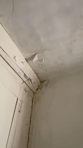 Vente / Maison à rénover