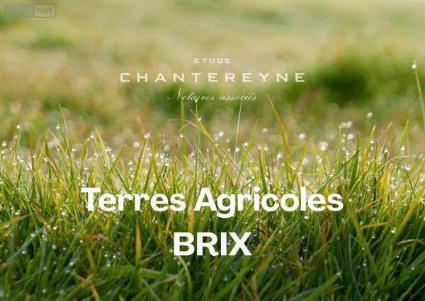 Achat - Terrain de loisirs, bois, étangs Brix 50700 6221 m 2
