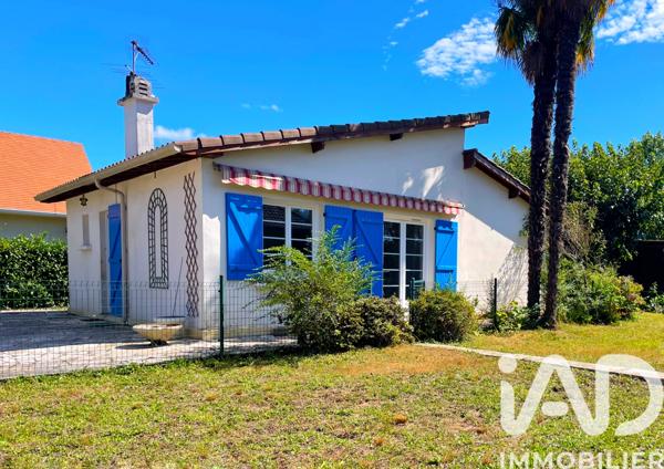 Location maison 3 pièces 68 m² Lons