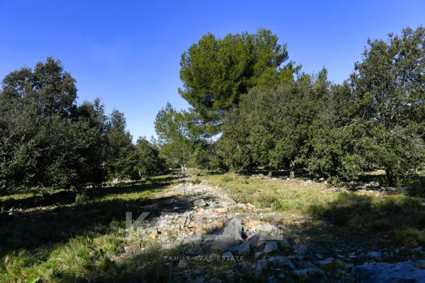 Maison de plain-pied avec piscine