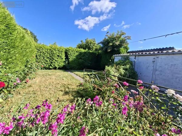 Achat - Maison Auchel 62260 5 pièces 87 m 2 230 m 2