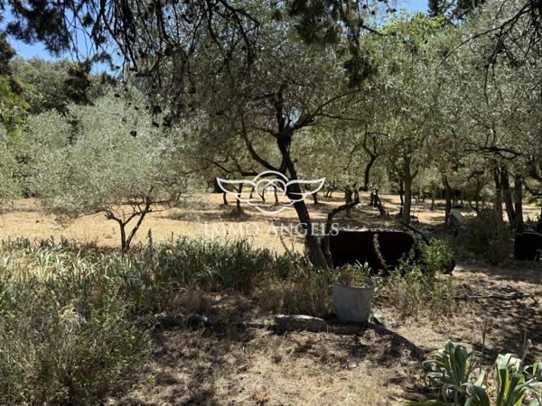 Rare Nîmes - Mazet à rénover - colline Nord