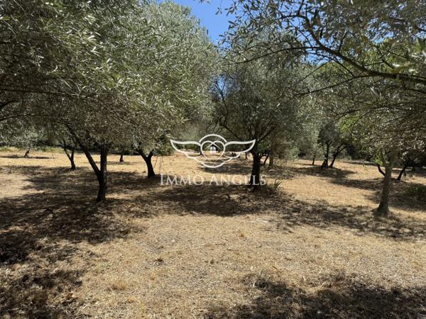 Rare Nîmes - Mazet à rénover - colline Nord