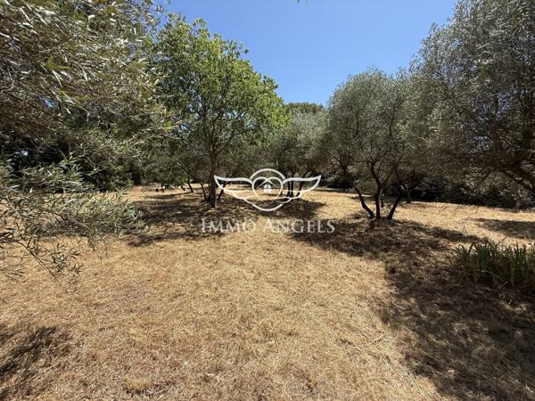Rare Nîmes - Mazet à rénover - colline Nord