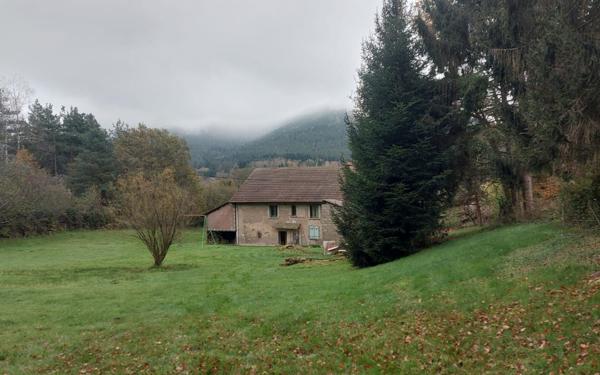 Maison à vendre    6 pièces •  Saint-Dié-des-Vosges