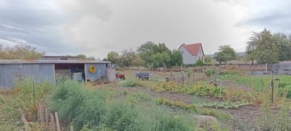 Maison de ville , grand jardin