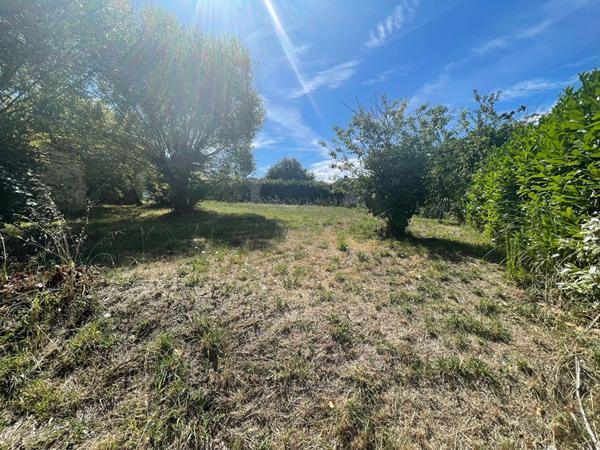 Terrain centre de Saint Hilaire De Riez 366 m2