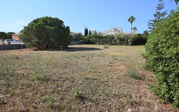 Terrain à vendre    Cabestany