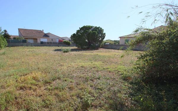 Terrain à vendre    Cabestany