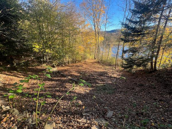 Secteur route d'Archette, maison dans impasse et nature, vue Moselle.