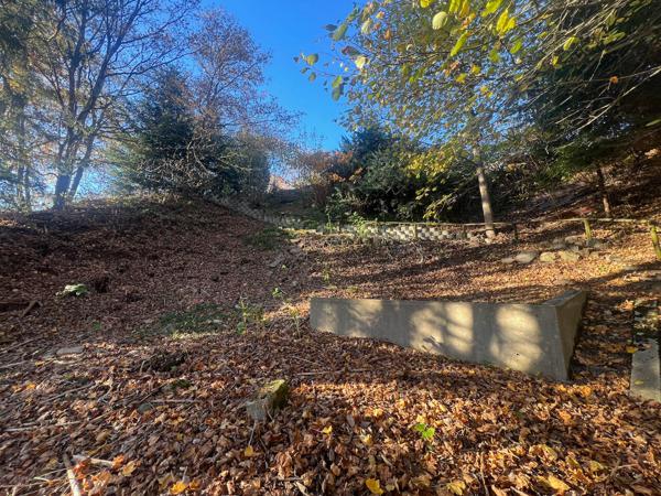 Secteur route d'Archette, maison dans impasse et nature, vue Moselle.
