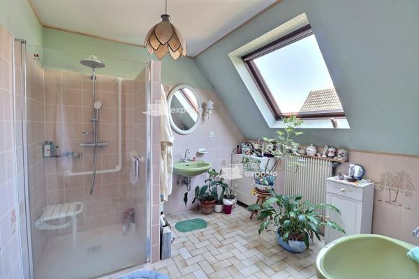 EN EXCLUSIVITE  Maison Illkirch Graffenstaden 160 m2 sur 6ares 03 ca