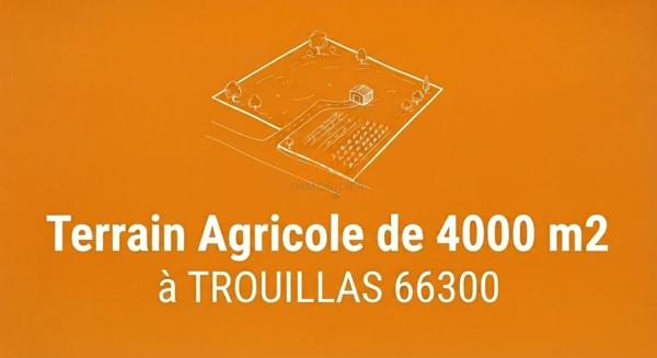 Terrain Agricole 4000 m2 Trouillas