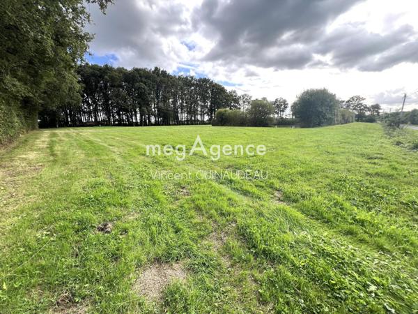 Terrain à BEGROLLES-EN-MAUGES, 49122 - 12539m²